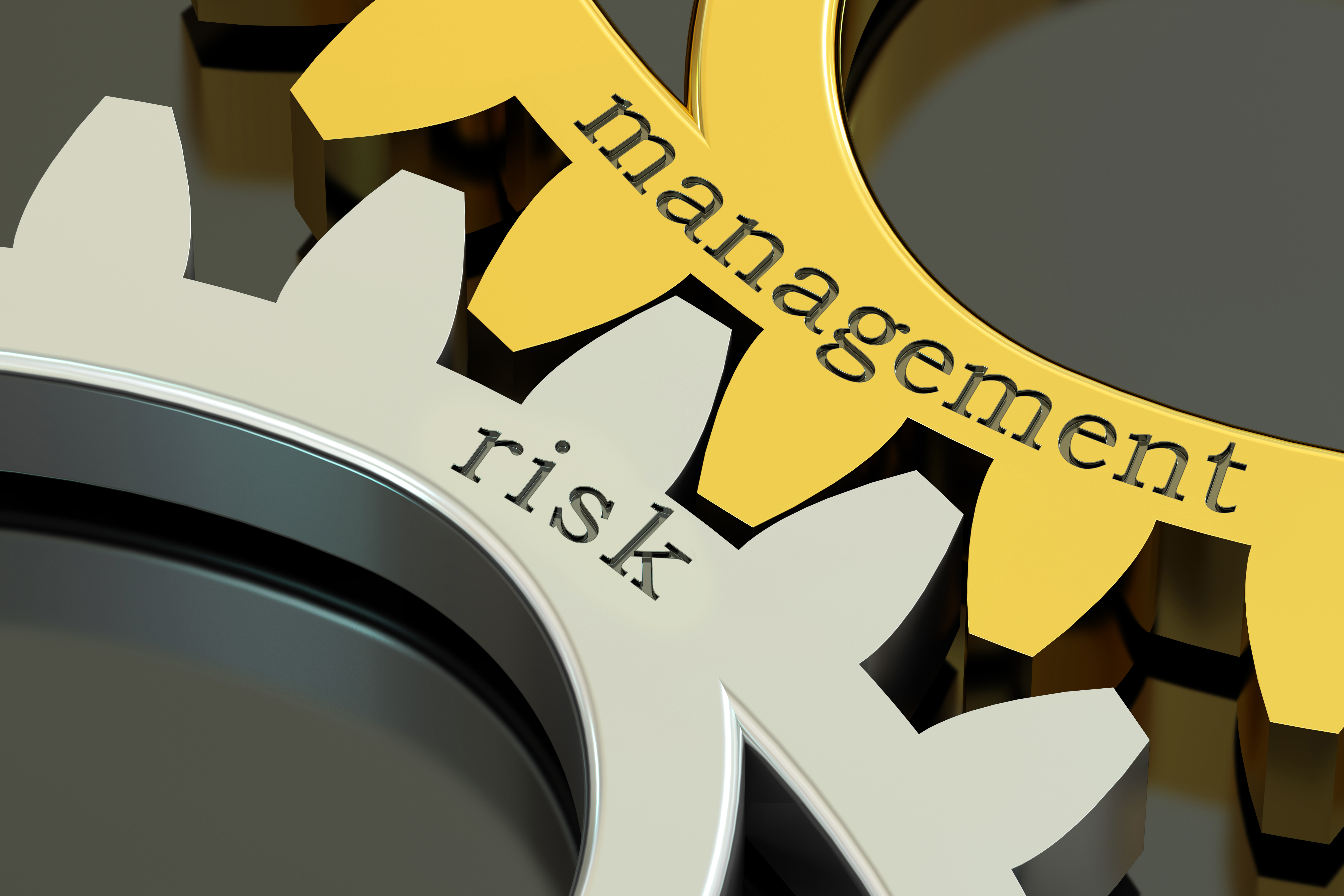 Risk Management concept on the gearwheels, 3D rendering